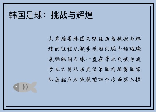 韩国足球：挑战与辉煌
